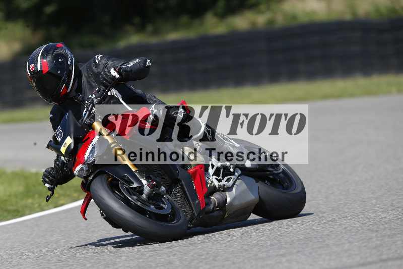 /46 11.08.2025 PADDYS-RACES-DAYS ADR/Sport-Profi/5